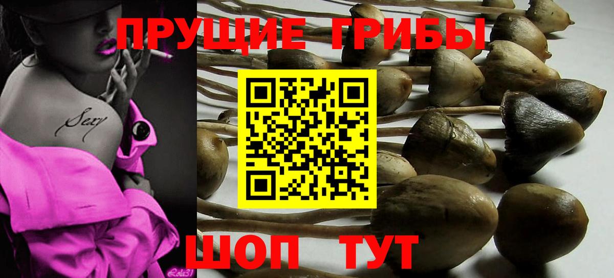 Галлюциногенные грибы мицелий Истра